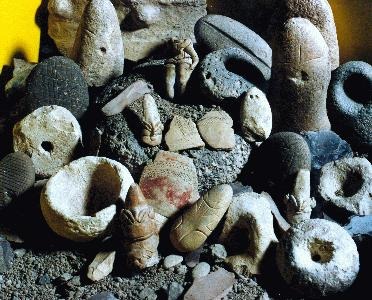 Findings From the Excavation