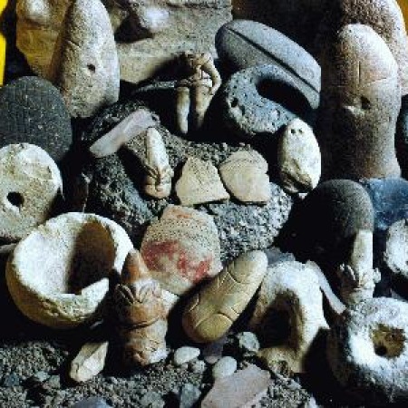 Findings From the Excavation